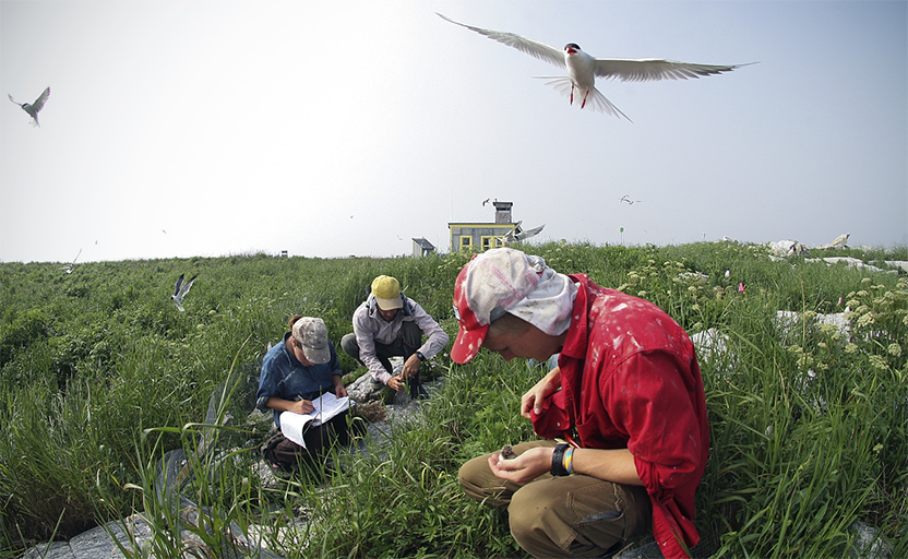fieldwork