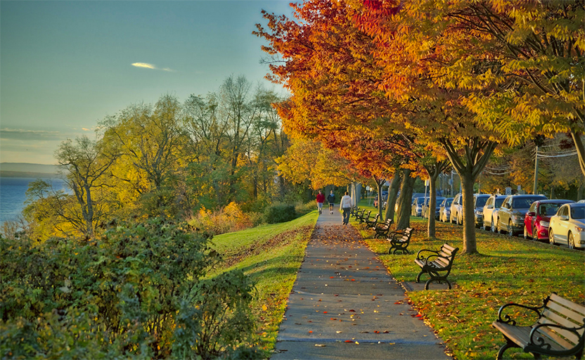 Lakeside path